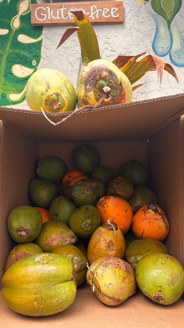 Wild Harvested Coconut Bundle